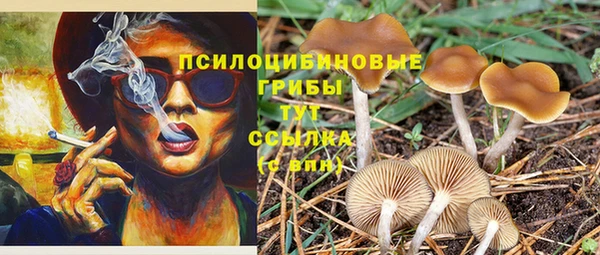 крисы Балабаново