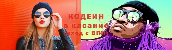 сатива Балахна