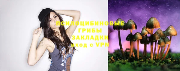гидра Баксан